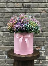 Цветочная композиция из Гипсофила и Розы в шляпной коробке в Чапаевском