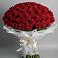 Букет 101 Красная роза Блэк Мэджик в Чапаевском