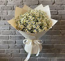 Букет цветов из:  Ромашки в Чапаевском