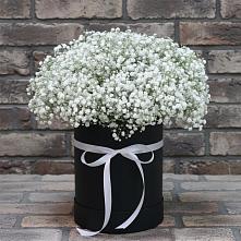 Цветочная композиция из Гипсофила в шляпной коробке #REPLACE_PRED# Чапаевском